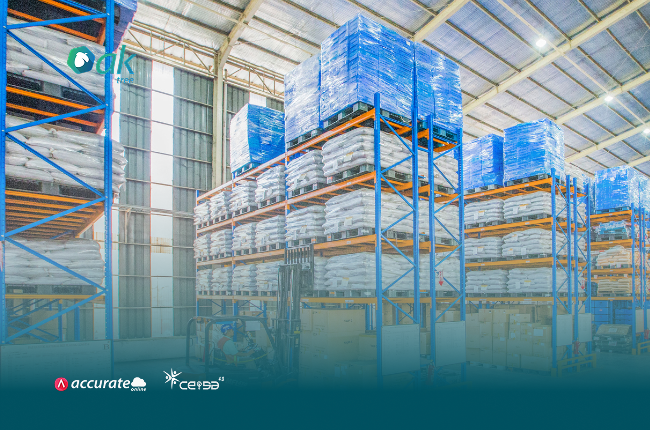 pertual inventory system