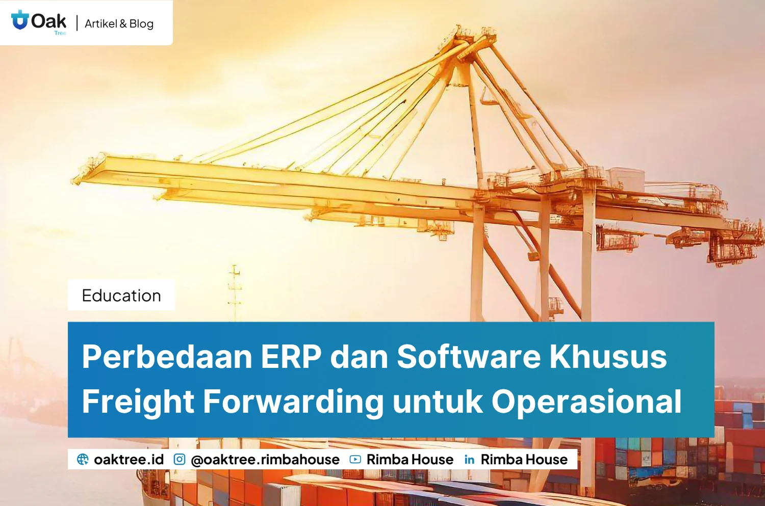Perbedaan ERP Dan Software Khusus Freight Forwarding Untuk Operasional